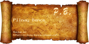 Pilnay Bence névjegykártya
